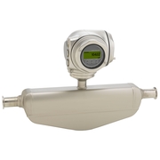 Endress+Hauser Proline Promass P 300