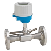 Endress+Hauser Proline Prosonic Flow E 100
